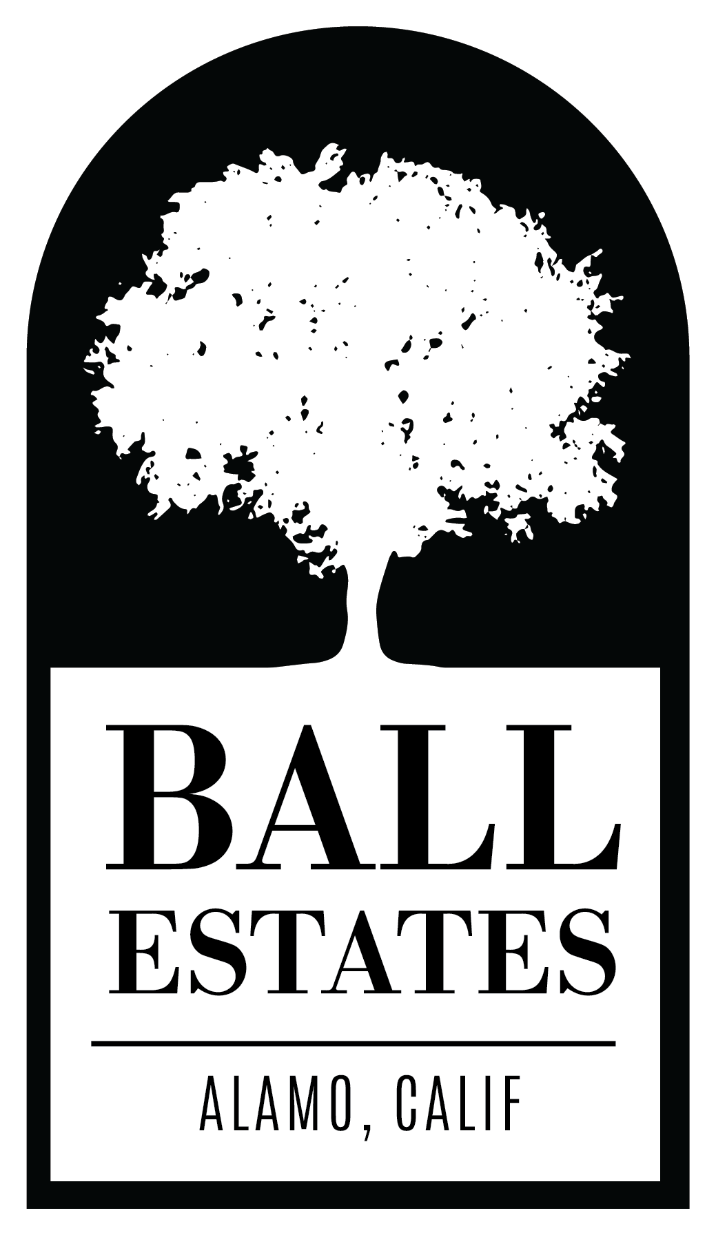 Branagh Development
